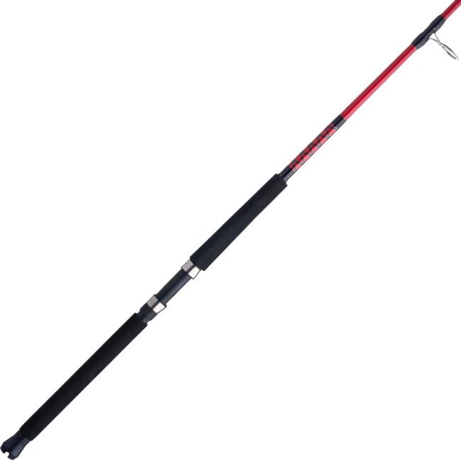 Boat Spinning Fishing Rod