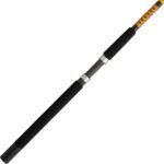 Spinning Fishing Rod